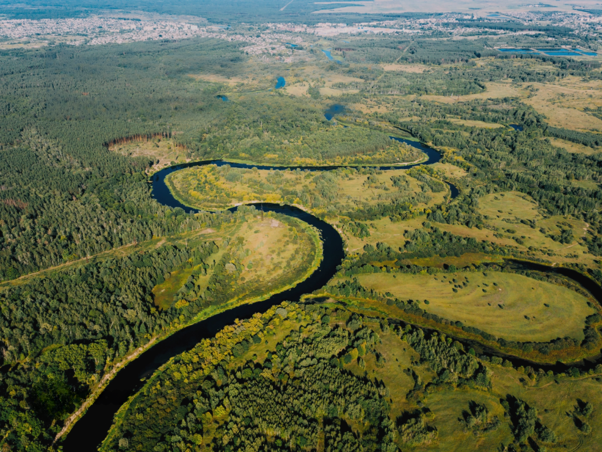 Why does a biodiversity metric not constitute environmental proof? 