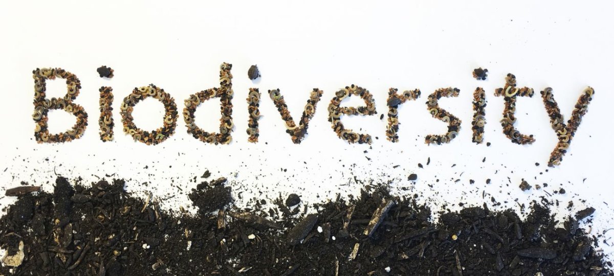 Towards integrated ecological accounting: measuring the real performance of living organisms 