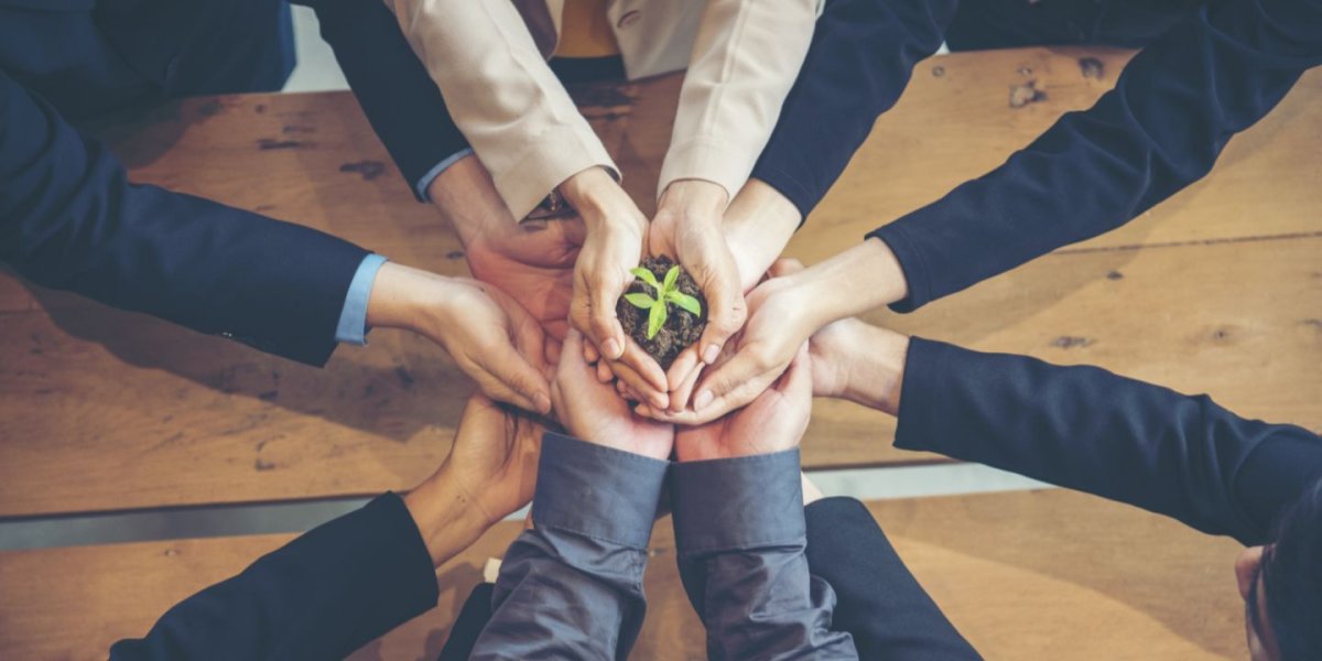 Ecological collectives and certification: two complementary levers for the transition