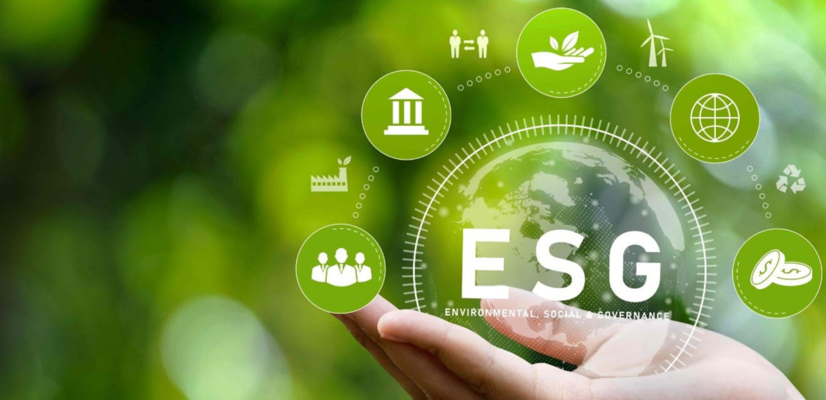 ESG and SDG Certification: Why Relying on an Accredited Third Party Is Essential 